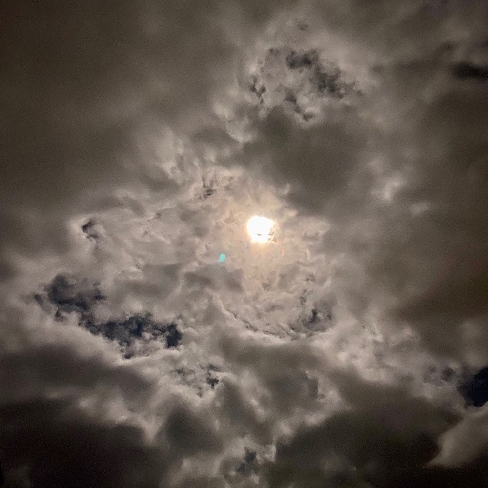 Meet your Posher, Keri